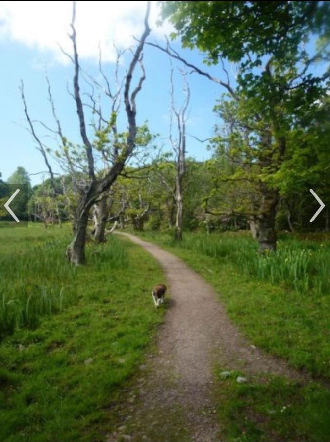 Happydays Caravan 1 Newton Stewart Whithorn Dış mekan fotoğraf